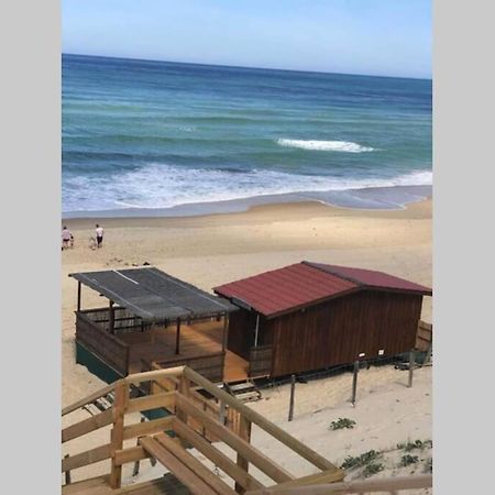 Maison A 300M De La Plage, Quartier Calme Mimizan Exterior foto